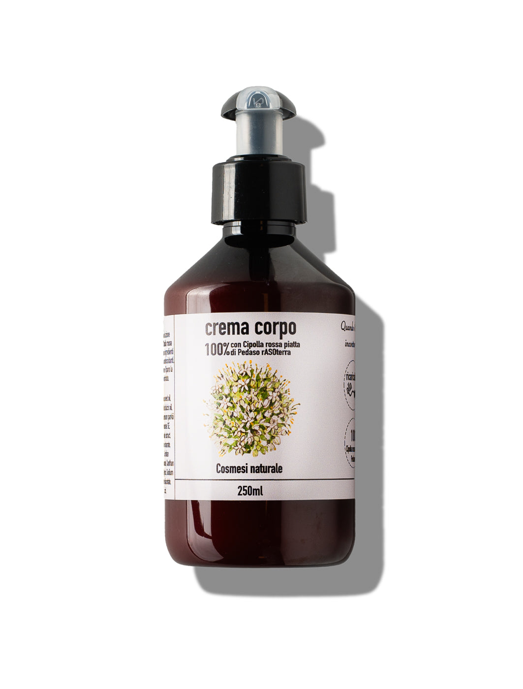 Crema corpo cipolla rossa piatta di Pedaso